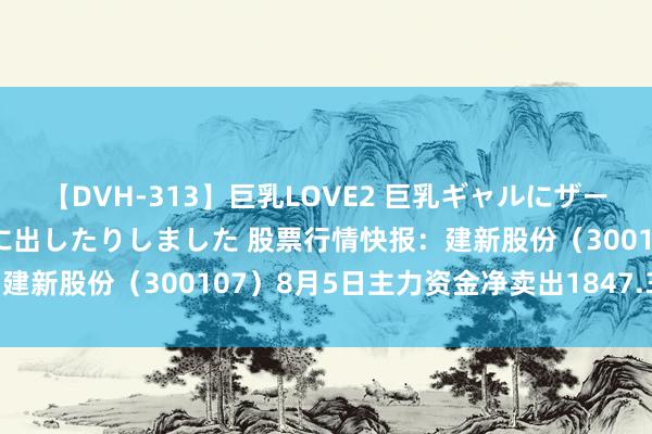 【DVH-313】巨乳LOVE2 巨乳ギャルにザーメンを中出ししたり、口に出したりしました 股票行情快报：建新股份（300107）8月5日主力资金净卖出1847.30万元