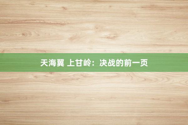 天海翼 上甘岭：决战的前一页