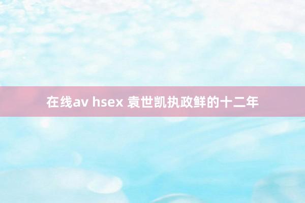 在线av hsex 袁世凯执政鲜的十二年
