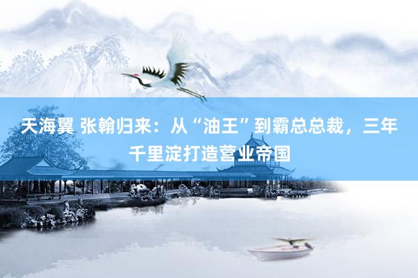 天海翼 张翰归来：从“油王”到霸总总裁，三年千里淀打造营业帝国