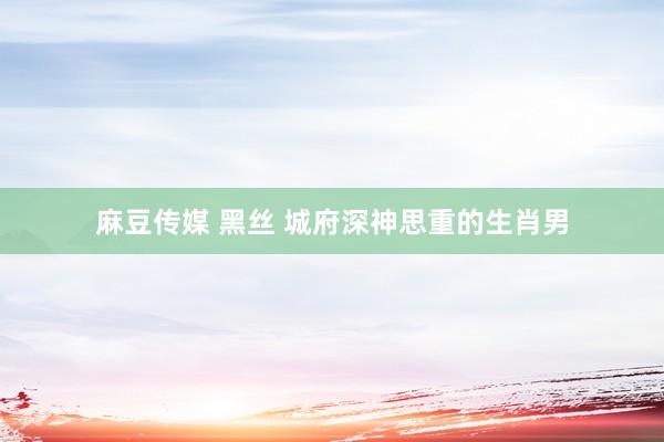 麻豆传媒 黑丝 城府深神思重的生肖男