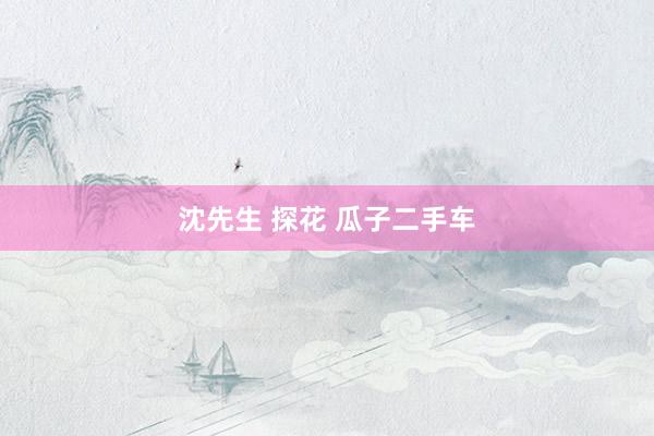 沈先生 探花 瓜子二手车