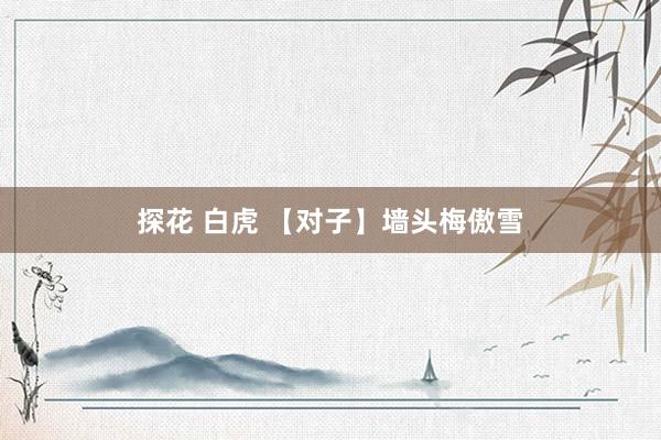 探花 白虎 【对子】墙头梅傲雪