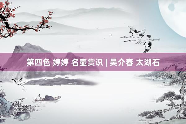 第四色 婷婷 名壶赏识 | 吴介春 太湖石