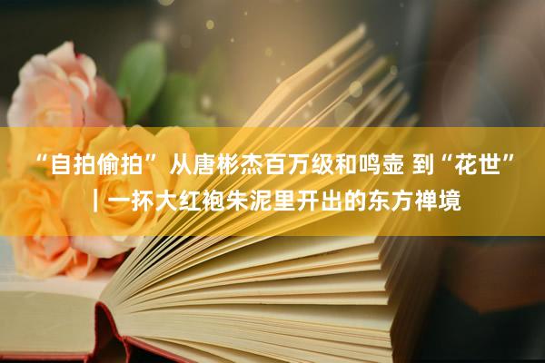 “自拍偷拍” 从唐彬杰百万级和鸣壶 到“花世”｜一抔大红袍朱泥里开出的东方禅境