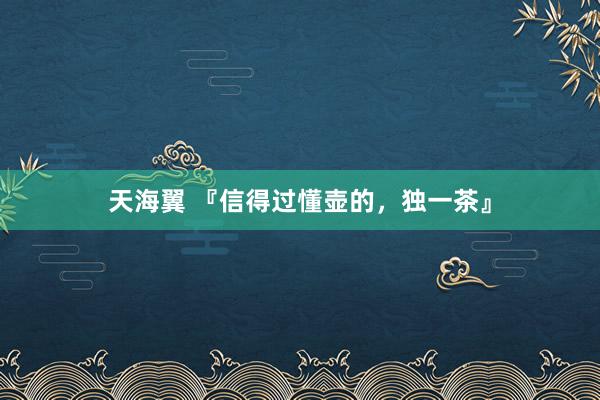 天海翼 『信得过懂壶的，独一茶』