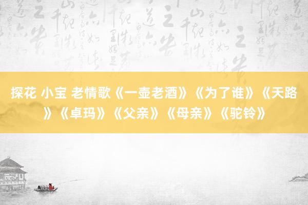 探花 小宝 老情歌《一壶老酒》《为了谁》《天路》《卓玛》《父亲》《母亲》《驼铃》