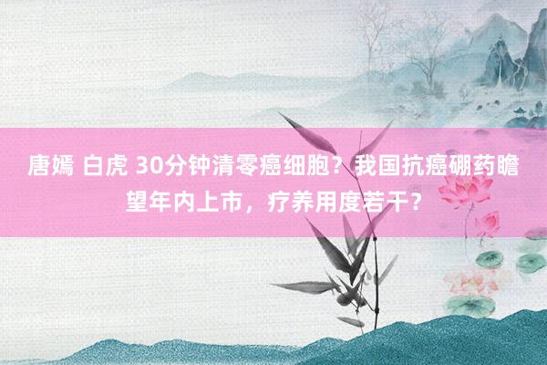 唐嫣 白虎 30分钟清零癌细胞？我国抗癌硼药瞻望年内上市，疗养用度若干？