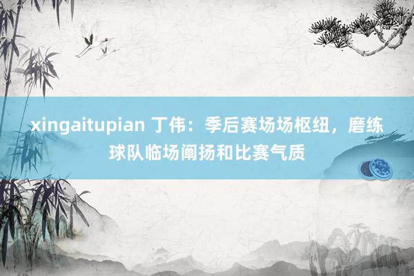 xingaitupian 丁伟：季后赛场场枢纽，磨练球队临场阐扬和比赛气质